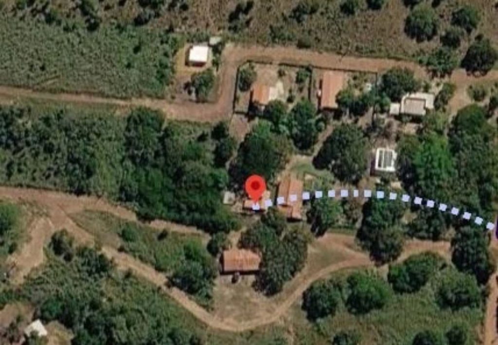 Coqueirinho: região de chácaras onde moradores relatam ataques de onças fica perto da área urbana de Palmas